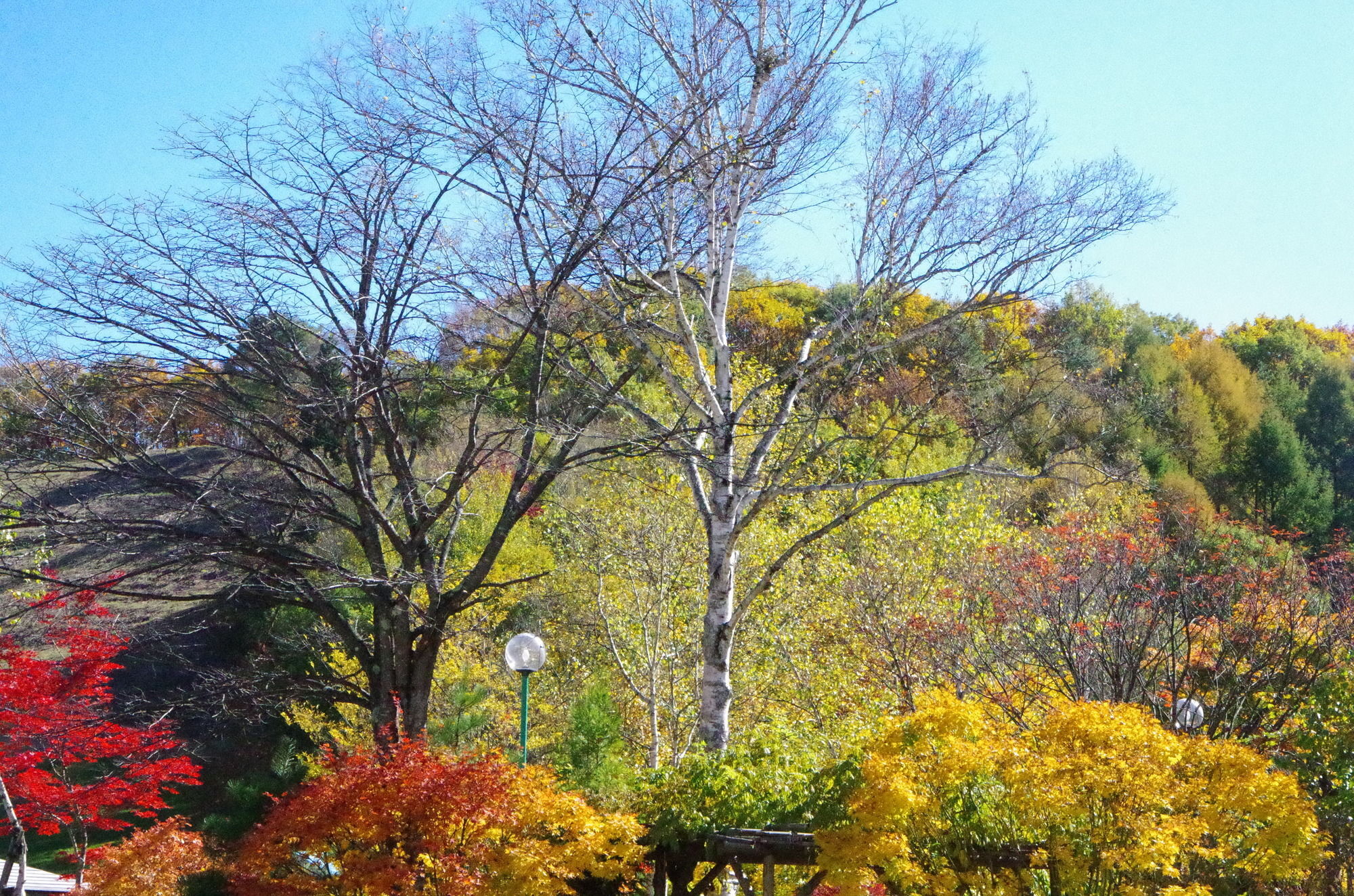 ホテルサンバード Gunma エクステリア 写真